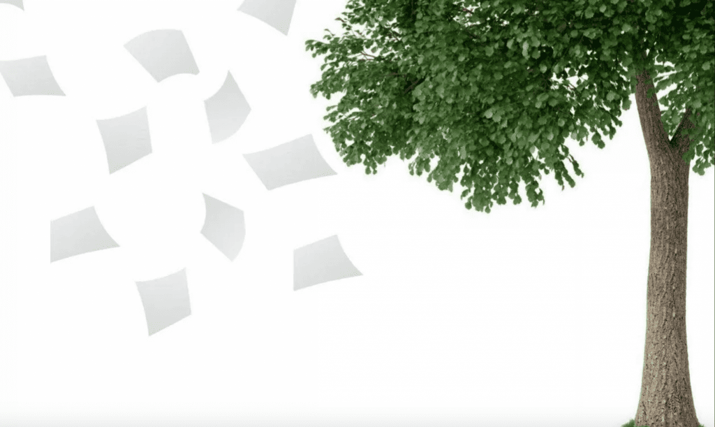 a paperless future