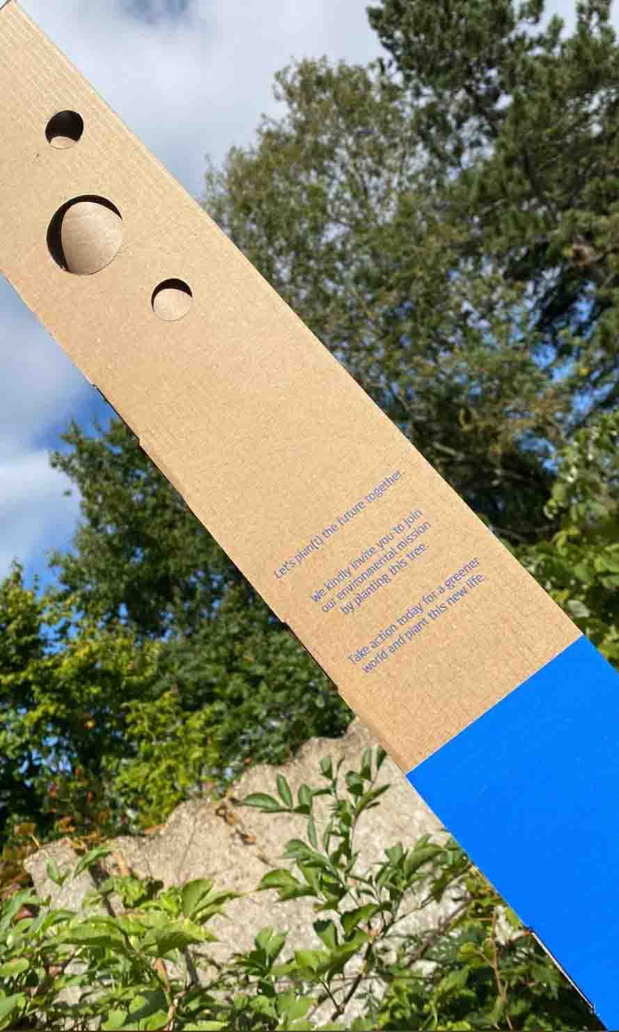 Geschenkboompje_7