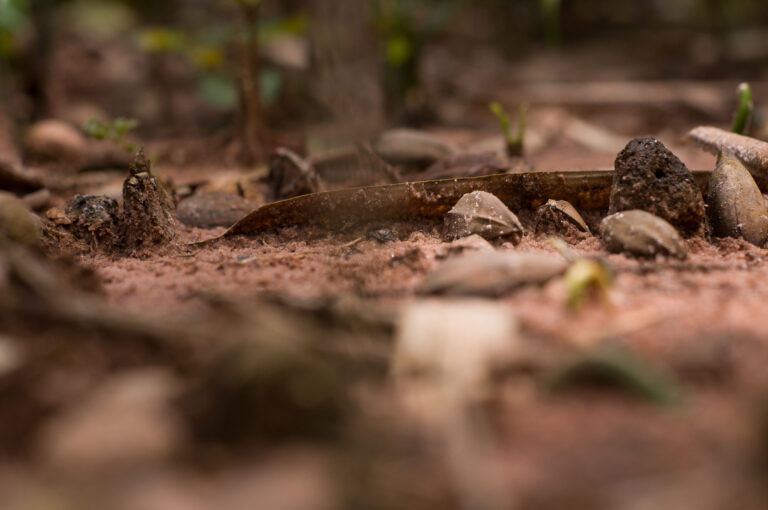 Copy of DSC_5099