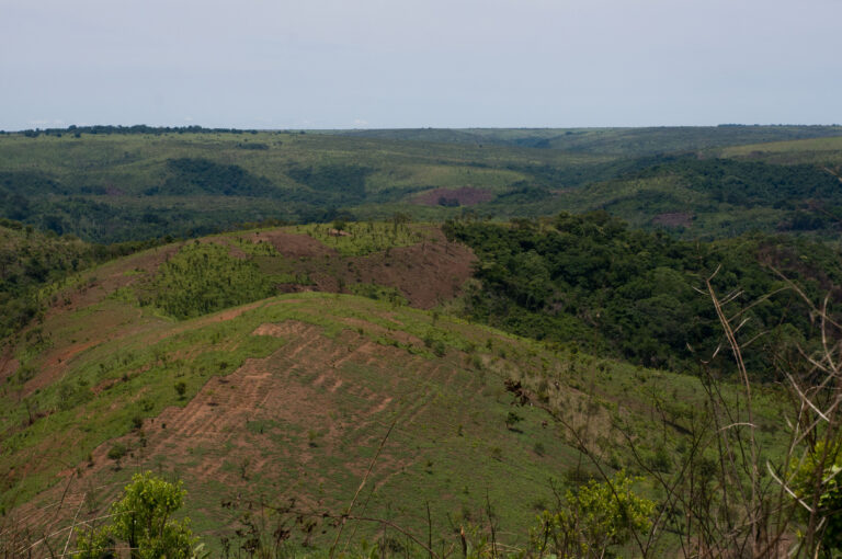 Copy of DSC_5108