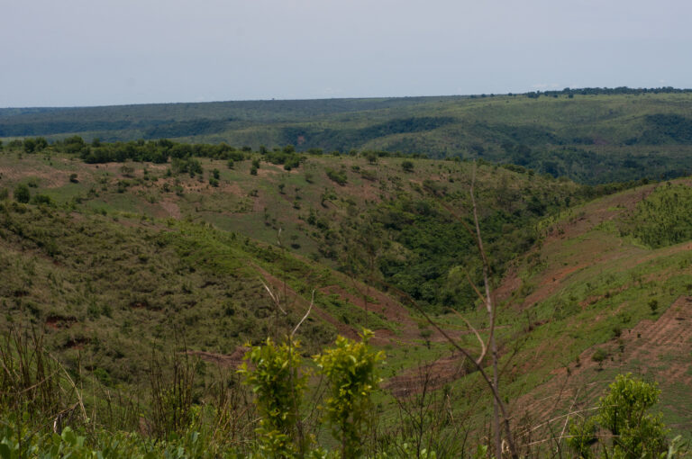 Copy of DSC_5109