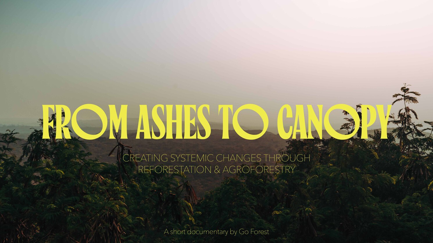 Recorded webinar on carbon credits - 30/08/24